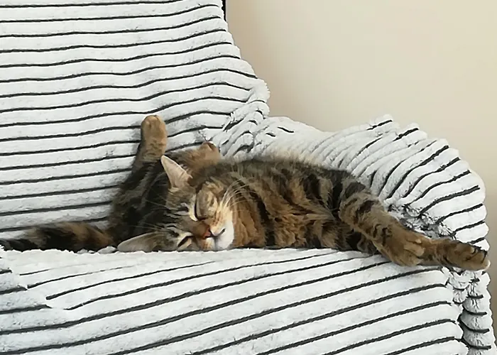 Le Clos Louisiane B&B 3*